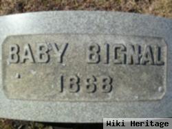 William Henry "baby" Bignal