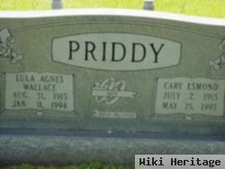 Cary Esmond Priddy