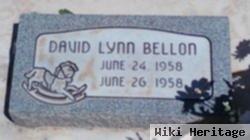 David Lynn Bellon