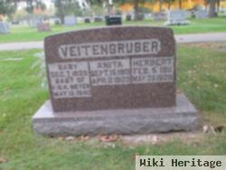 Infant Veitengruber