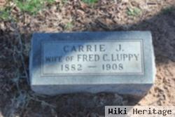 Carrie J. Luppy