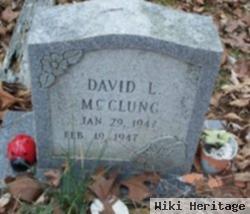 David L Mcclung