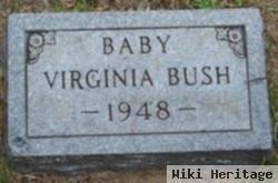 Virginia Bush