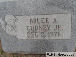 Bruce A. Cudney, Jr.