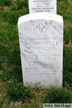 Dominic Joseph Calacci