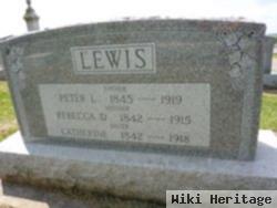 Peter L Lewis