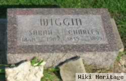 Sarah J. Cooper Wiggin