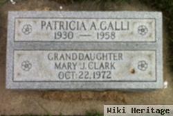 Patricia Ann Harris Galli