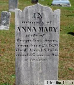 Anna Mary Snyder Jones