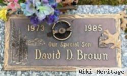 David D Brown