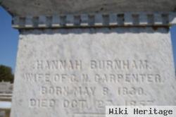 Hannah Burnham Carpenter