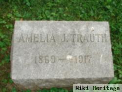 Amelia J. Trauth