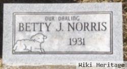 Betty J Norris