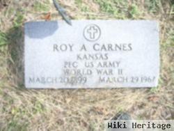 Roy A Carnes