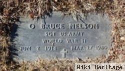 Otto Bruce Nelson