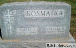 Walter John Kosmatka