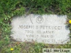 Joseph B Petrucci