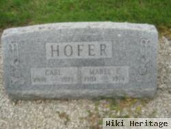 Carl Hofer