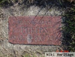 Diana Mae Phelps