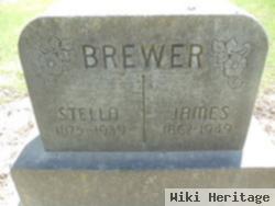 Stella Mae Hawk Brewer