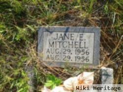 Jane E. Mitchell