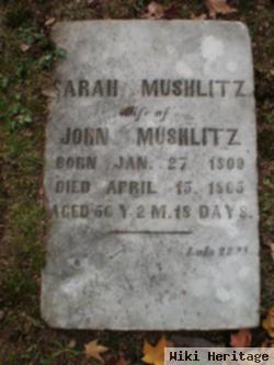 Sarah Erwin Mushlitz