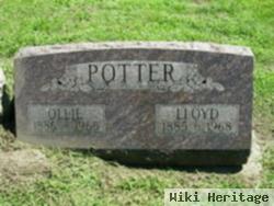 Lloyd Potter