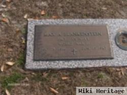 Max A. Blankenstein