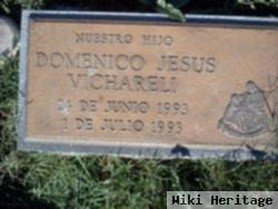 Domenico Jesus Vichareli