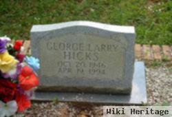 George Larry Hicks