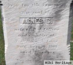 Agnes C Lane Collins