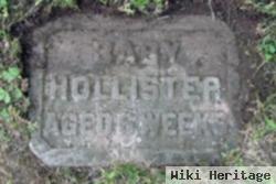 Hollister Cowles