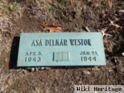 Asa Delmar Weston