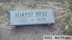 Forest Best