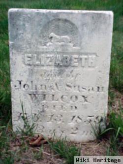 Elizabeth Wilcox