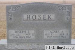 Joseph Rudolph Hosek