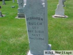 Bernard H Busch