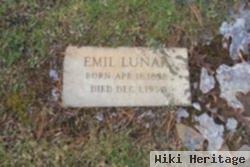 Emil Peter Lunak