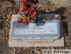 Victor James Stegman