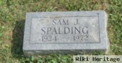 Sam J Spalding