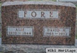 David N. Fore