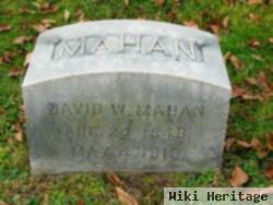 David W Mahan