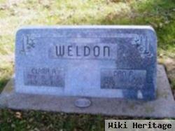 Dan R Weldon