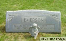 Elizabeth M Emerson