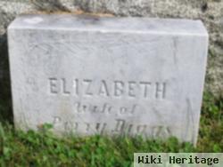 Elizabeth Diggs