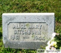 Alice Mary Ditchburn