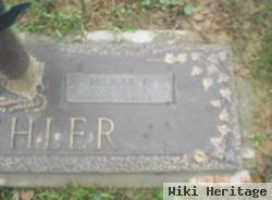 Hilmar F Koehler