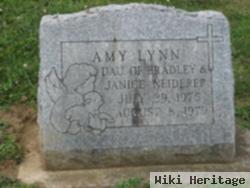 Amy Lynn Neiderer