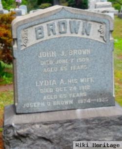 Lydia A Brown