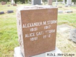 Alexander M Storm